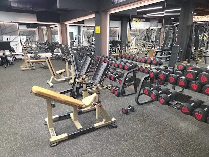 Fitness centar Mega Gym Central — fotografija objekta, Beograd (Palilula)