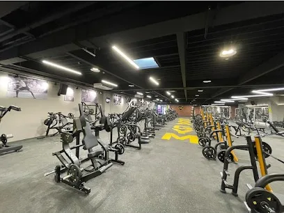 Fitness centar Mega Gym Novi Sad — fotografija objekta, Novi Sad