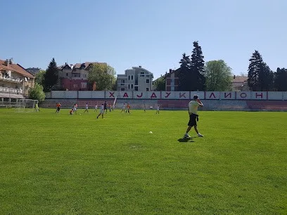 FK "Hajduk" - Lion — fotografija objekta, Zvezdara