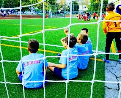 Fudbalski klub Petar Puača (Škola fudbala Petar Puača) — fotografija objekta, Novi Sad