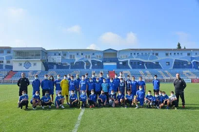 Fudbalski klub Radnik Surdulica — fotografija objekta, Surdulica