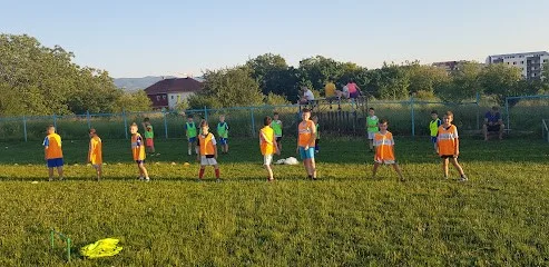 Fudbalski klub Soko Niš (Škola fudbala Soko Niš) — fotografija objekta, Niš