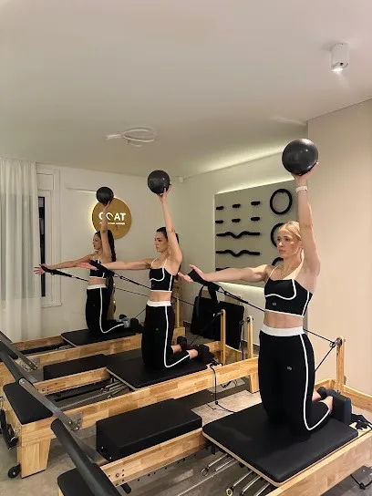 Goat Pilates Fitness and Recovery studio — fotografija objekta, Savski venac