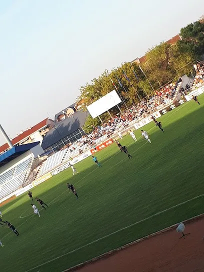 Gradski fudbalski klub Jagodina — fotografija objekta, Jagodina