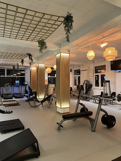 Gymart Boho — fotografija objekta, Beograd (Grocka)