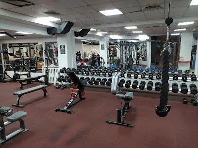 Iron Republic Gym — fotografija objekta, Beograd (Palilula)
