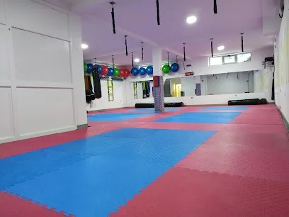 Karate - Fitness klub "Borac" — fotografija objekta, Niš