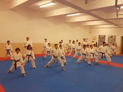 Karate klub Elid Niš — fotografija objekta, Niš