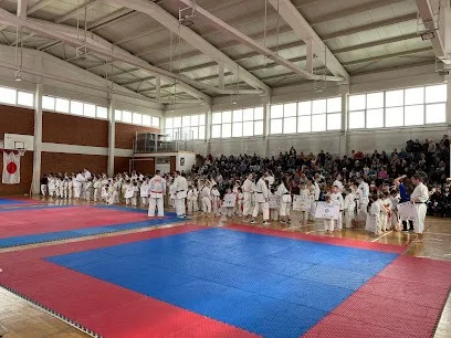 Karate klub Japan — fotografija objekta, Beograd (Novi Beograd)