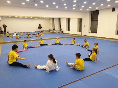 Karate Klub Srem — fotografija objekta, Sremska Mitrovica