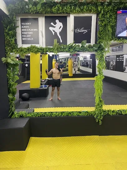 Kik Boks Klub Hillitary — fotografija objekta, Čukarica