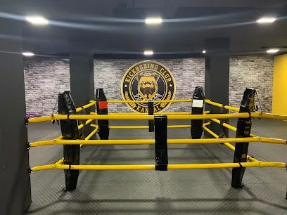 KIK BOKS KLUB KANGAL — fotografija objekta, Novi Beograd