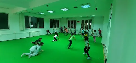 Klub realnog aikidoa Mali samuraj — fotografija objekta, Beograd (Novi Beograd)