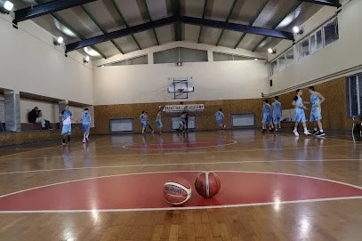Košarkaški klub Vizura — fotografija objekta, Beograd (Zemun)