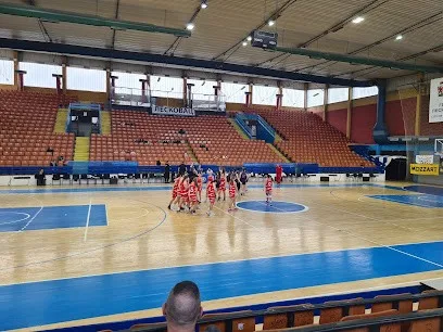 Košarkaški klub Zdravlje Leskovac — fotografija objekta, Leskovac