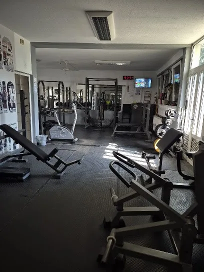 Lav — fotografija objekta, Niš