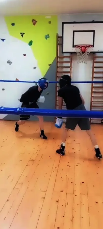 My Gym Ivanjica - Skola sporta i gimnastike — fotografija objekta, Ivanjica