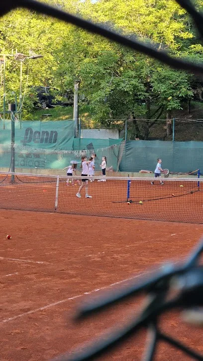 Omladinski teniski klub Beograd — fotografija objekta, Beograd (Palilula)