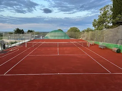 Padel Tenis Spin — fotografija objekta, Petrovaradin