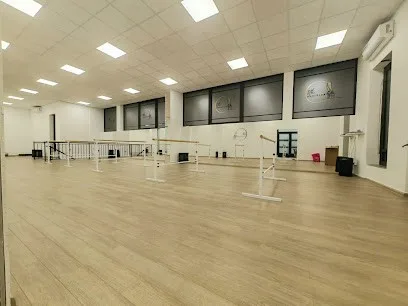 Plesni studio 5th Position — fotografija objekta, Beograd (Zvezdara)