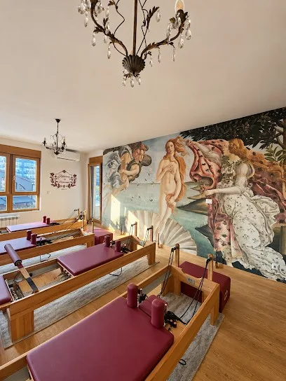 Reformer i Renesansa - Pilates Studio — fotografija objekta, Novi Beograd