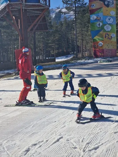 Ski škola Ski Art i Raft — fotografija objekta, Zlatibor