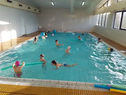Skola plivanja Swim Team — fotografija objekta, Novi Beograd