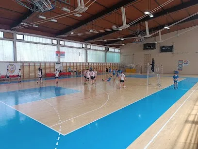 Sportska hala Aleksinac — fotografija objekta, Aleksinac