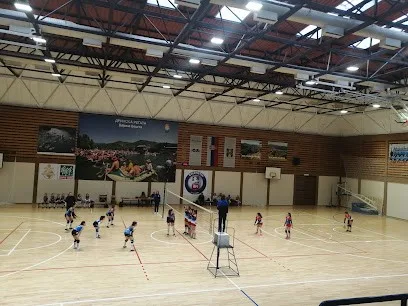 Sportska hala Bajina Bašta — fotografija objekta, Bajina Bašta