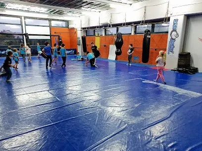 Sportska sala BORAC Karaburma — fotografija objekta, Zvezdara