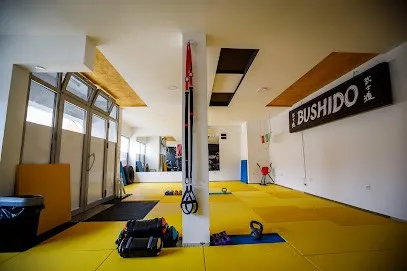 Sportski Centar "Bushido" Šabac — fotografija objekta, Šabac