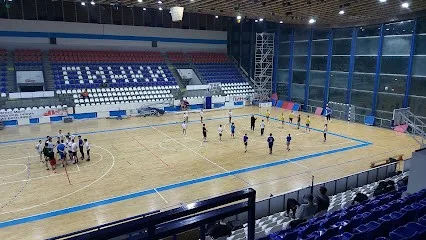 Sportski centar Pinki — fotografija objekta, Beograd (Zemun)