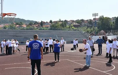 Sportski centar Taš Aleksinac — fotografija objekta, Aleksinac