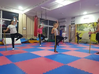 Sportski centar Vitez — fotografija objekta, Beograd (Palilula)