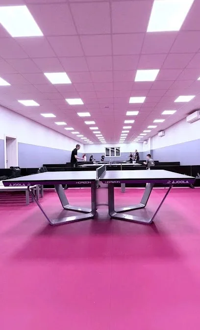 Table tennis school "Karakašević code" — fotografija objekta, Zemun