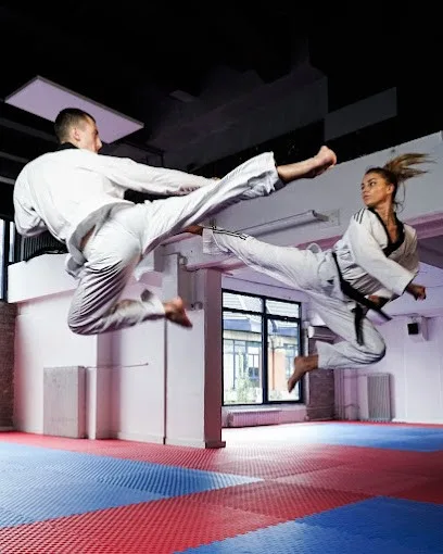 Taekwondo Club Radnički — fotografija objekta, Palilula