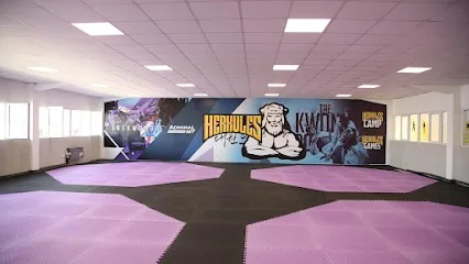 Taekwondo Klub HERKULES 2 — fotografija objekta, Zemun
