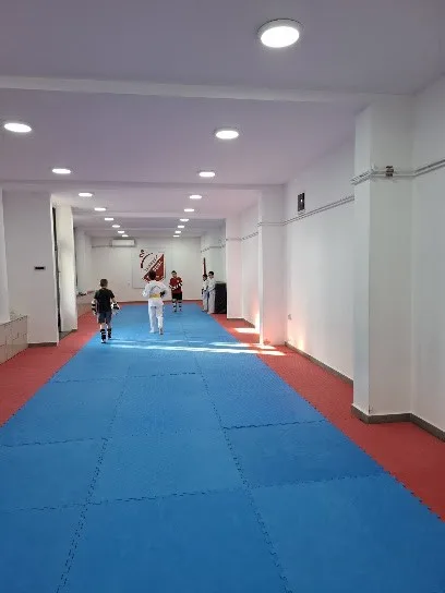 Taekwondo Klub Vojvodina — fotografija objekta, Novi Sad