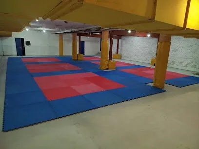 Tekvondo klub Škorpion — fotografija objekta, Kragujevac