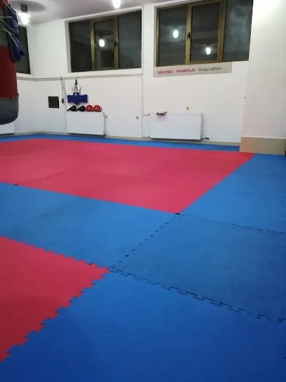 Tekvondo klub Tekvondo Akademija Kg — fotografija objekta, Kragujevac