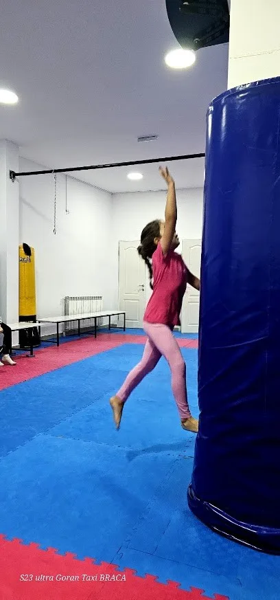 Tekvondo klub Tornado — fotografija objekta, Vršac