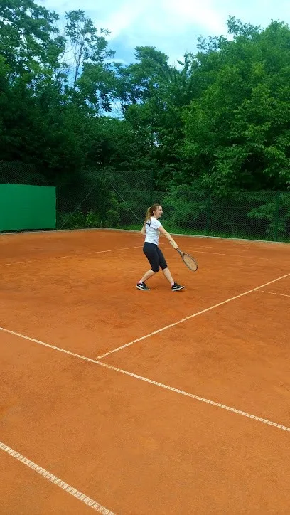 Teniski klub SA&NI — fotografija objekta, Beograd (Palilula)
