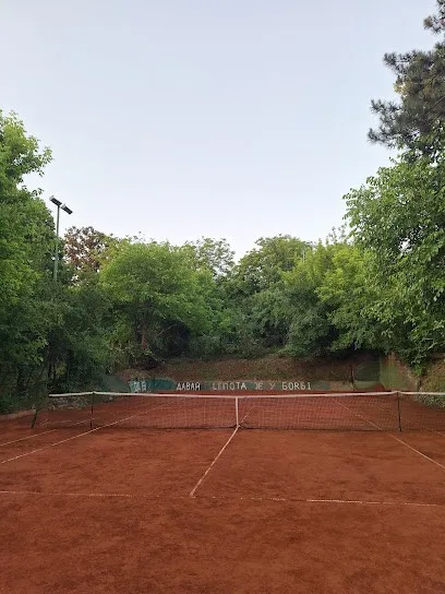 Tennis Land Serbia — fotografija objekta, Voždovac