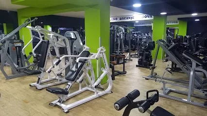 Teretana Muscle factory gym — fotografija objekta, Beograd (Zemun)