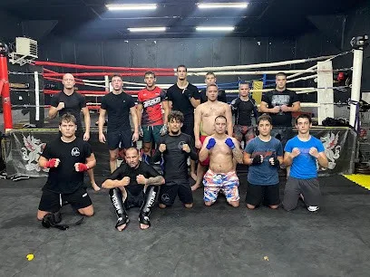 Theogenes MMA fighting team — fotografija objekta, Beograd (Voždovac)