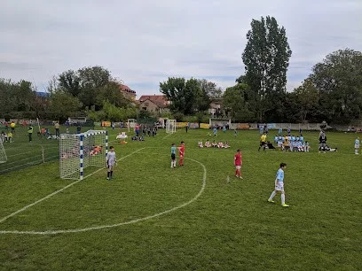 Trgovački Petrovac — fotografija objekta, Petrovac na Mlavi
