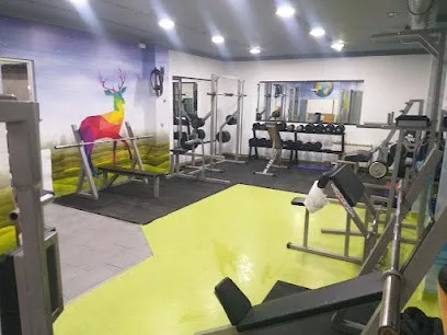 Unisex Gym — fotografija objekta, Beograd (Zvezdara)