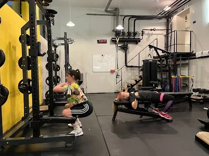 Workout Team — fotografija objekta, Vračar
