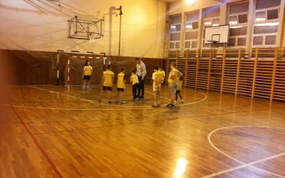 Sportsko udruženje Lavovi
