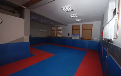Klub realnog aikidoa Altina